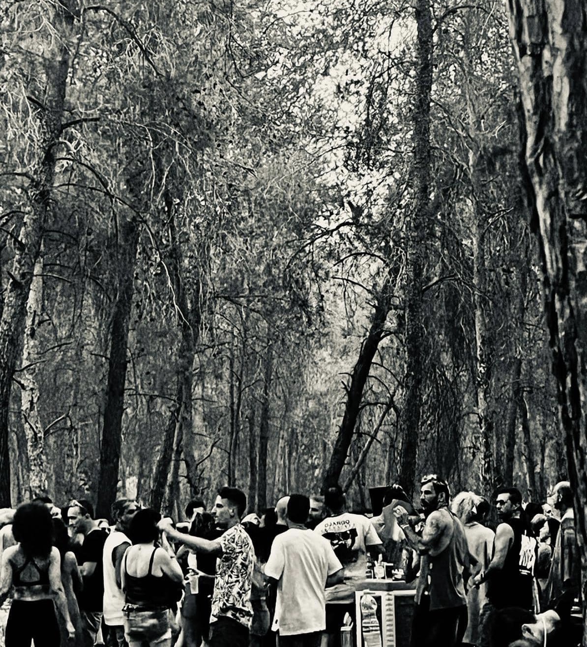 festival