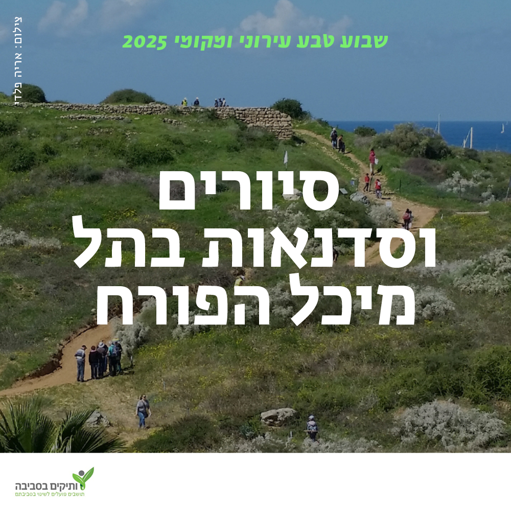 סיורים וסדנאות בתל מיכל הפורח בהרצליה | 8.3.25 | שבת